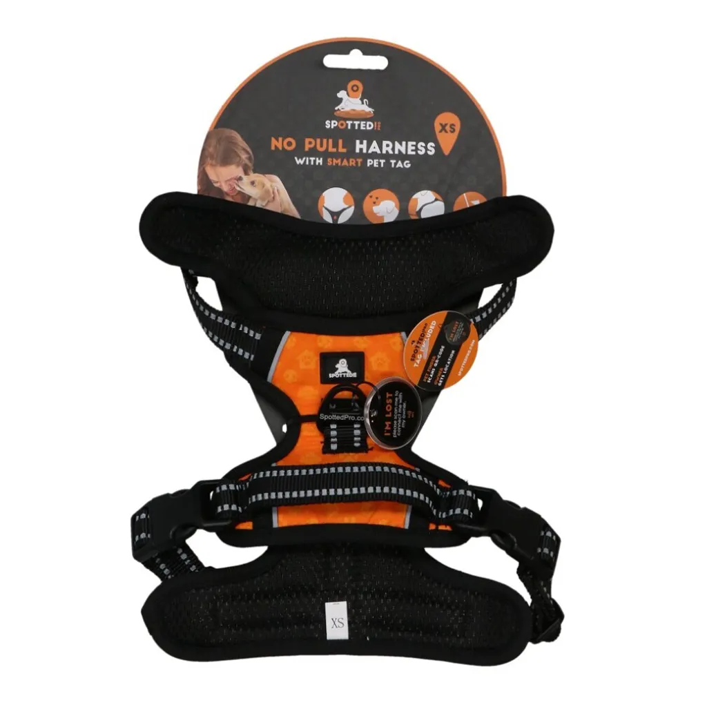 Imbracatura PRO Arancione XS Edition | Il Must-Have di Stagione