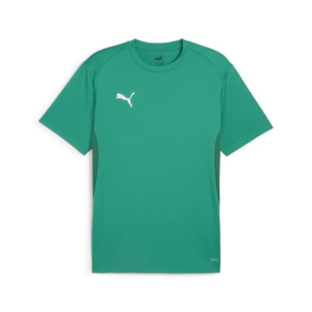 Puma Teamgoal Trikot Kurzarm Herren - Grün