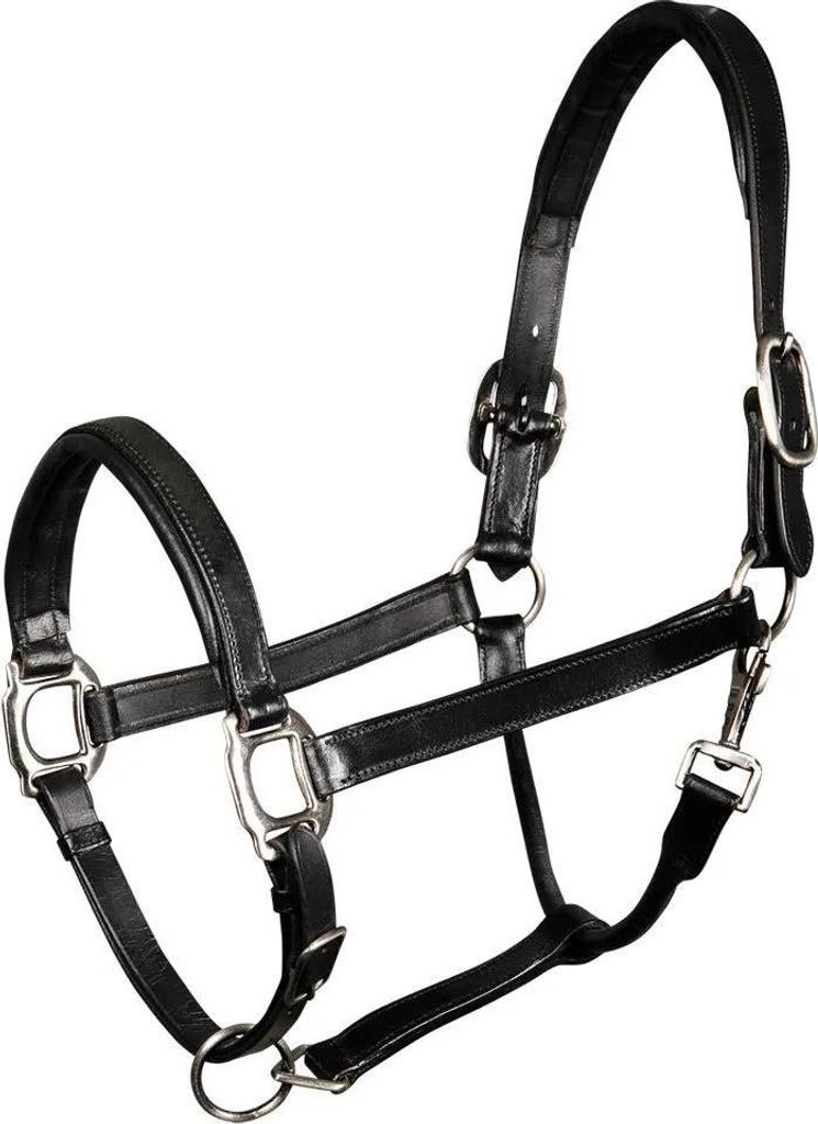 Harry ́s Horse Leather Padded Halfter Schwarz Full Schwarz Full