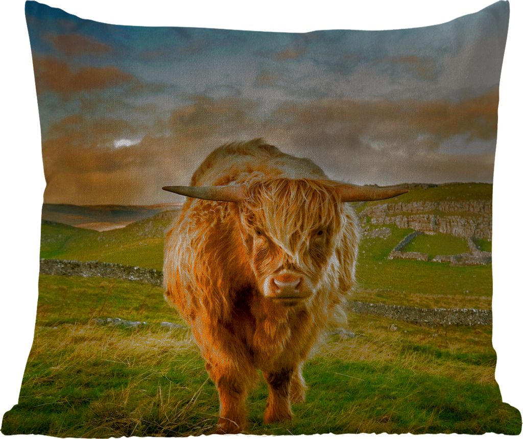 MuchoWow Outdoor Kissen - Schottisches Hochlandrind - Gras - Berg - 45x45 cm - Wetterfest - Lounge Kissen - Fotokissen - Dekoratives Kissen