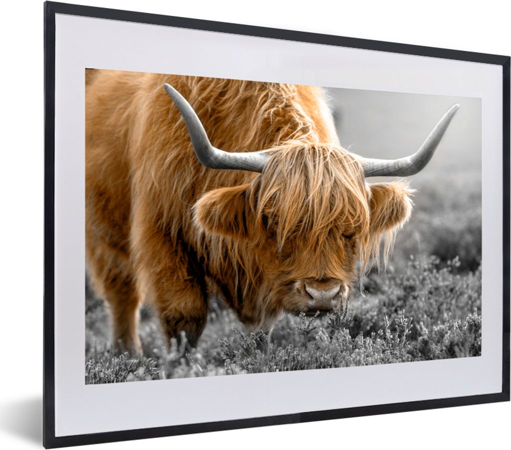 MuchoWow® MuchoWow® Gerahmtes Poster Schottisches Produktbild 