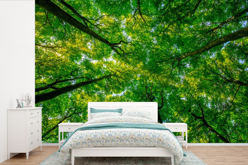 MuchoWow Fototapete für Wohnzimmer oder Schlafzimmer Wandtapete Vinyl Motivtapete Wald - Bäume - Grün - 360x240 cm - Vinyl-Tapete