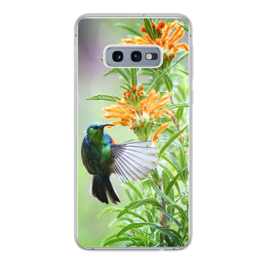 MuchoWow Handyhülle Schutzhülle Hülle für Samsung Galaxy S10e Nahaufnahme eines bunten Vogels neben Pflanzen mit orangefarbenen Blüten Silik...