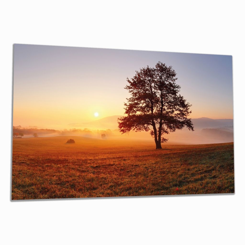 Wallario Herdabdeckplatte aus Glas, Größe 80 x 52 cm 1-teilig, Motiv Sonnenaufgang über der Wiese mit Nebel