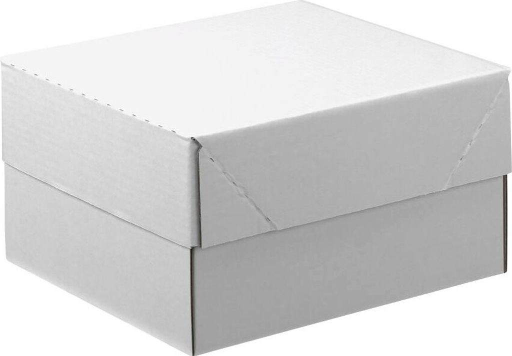 Nestler Kartons mit abnehmbarem Deckel 33,8 x 23,8 x 16,7 cm, 20 St.