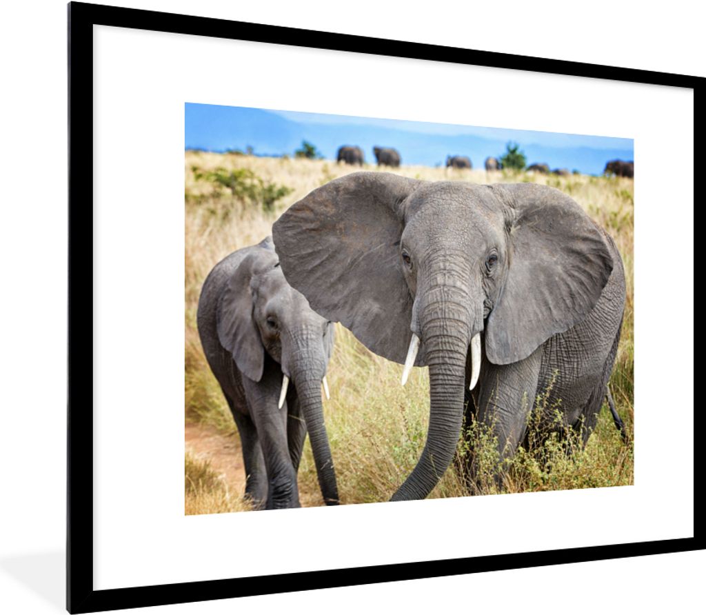 MuchoWow MuchoWow Gerahmtes Poster Elefant - Tiere - Gras - Natur 80x60 cm - Poster mit zchwarzem Bilderrahmen - Schlafzimmer-Dekorationen - Fo...