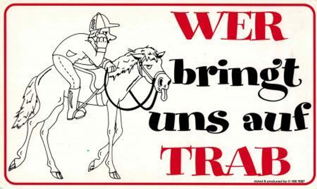 Schild - Wer bringt uns auf Trab - Gr. 25x15 cm - 309087