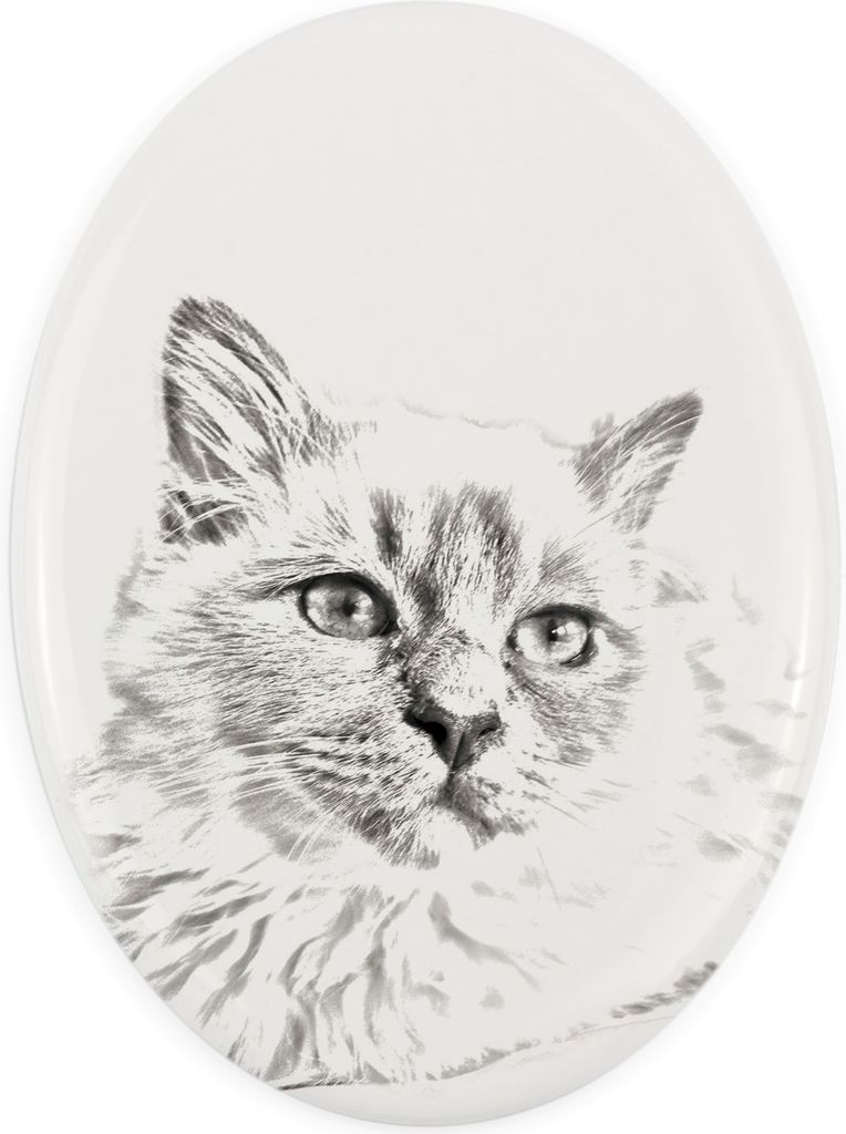 Birma - Gedenktafel mit einem Foto einer Katze, Grabplatte mit Druck, personalisierte ovale Platte der Marke Art-Dog