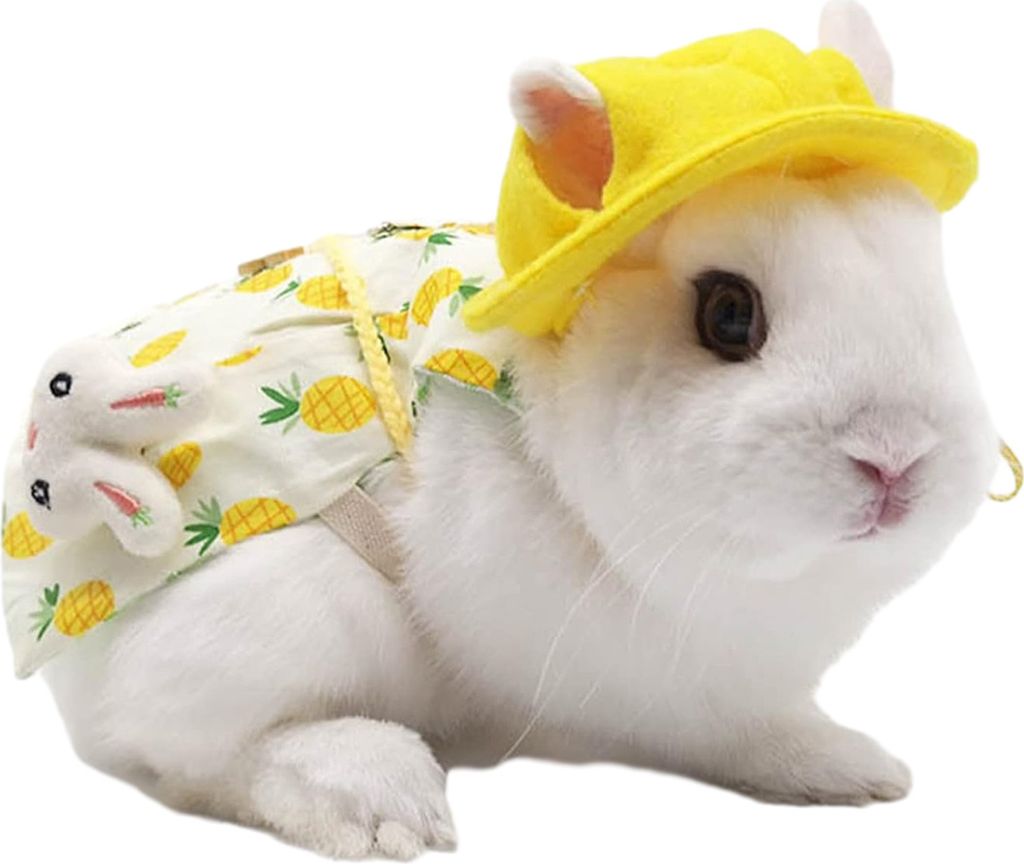 Hasengeschirr und Leine, Kaninchenkleidung für Hasen, Meerschweinchengeschirr, Weste und Leine für Kaninchen, Frettchen, Meerschweinchen, Hase, H...