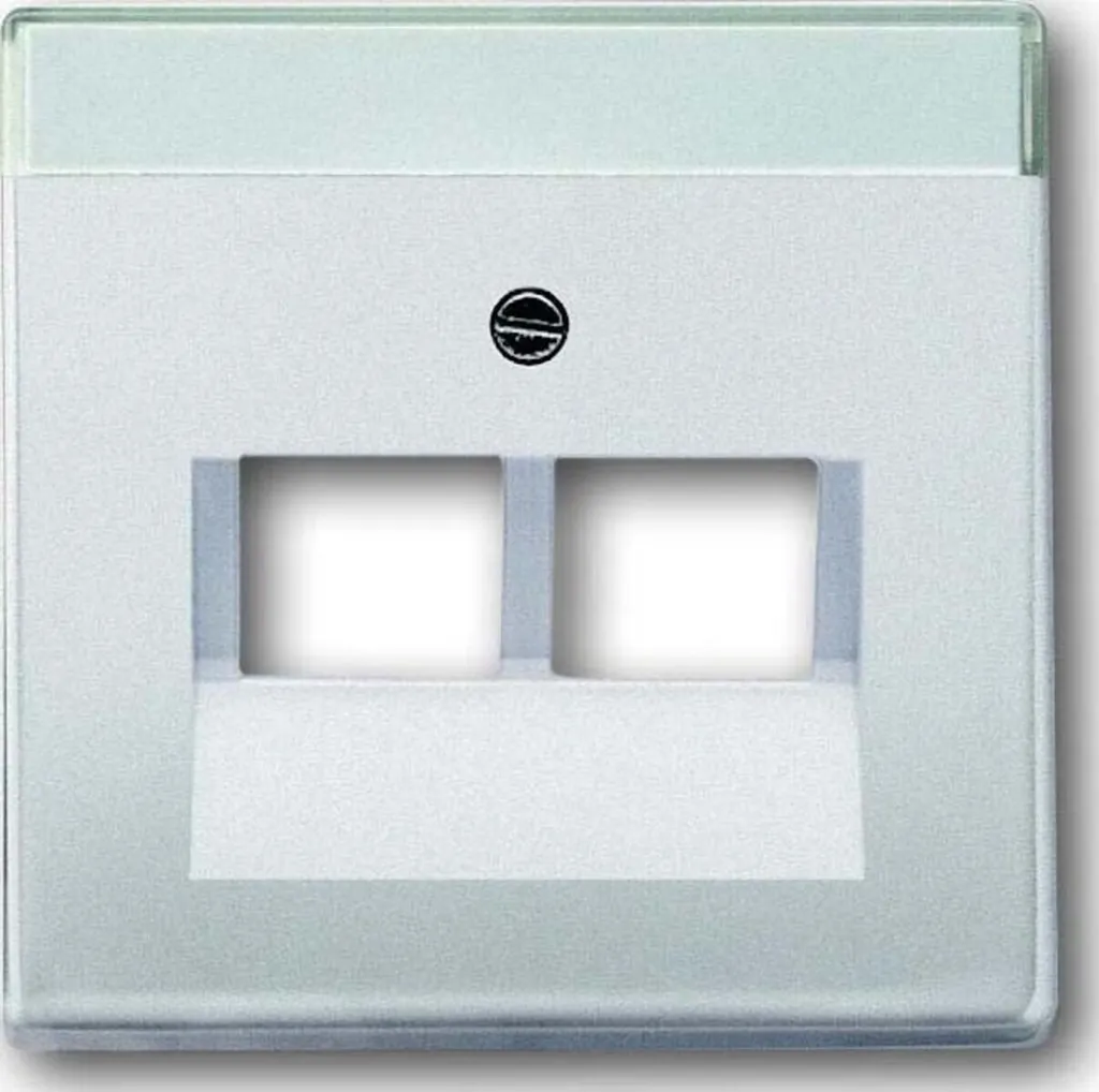 Plaque Busch-Jaeger UAE/IAE 2f acier inox : fini les prises instables