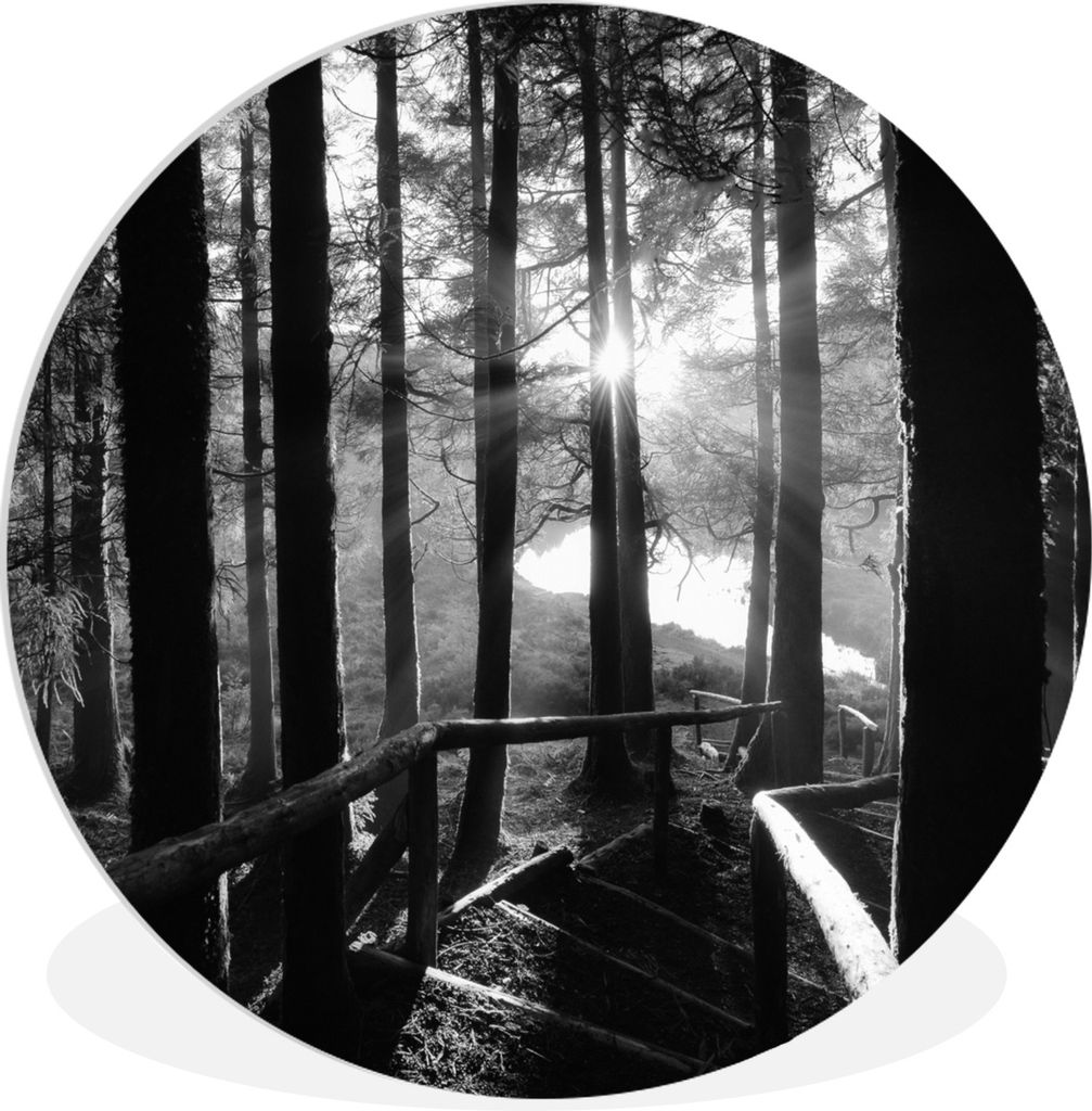 MuchoWow Rundes Wandbild - Runde Bilder Wald - Treppe - Azoren - Schwarz - Weiß Ø 90 cm Kreis Wanddekoration Kunststoff - Wandkreis - Wandschmu...