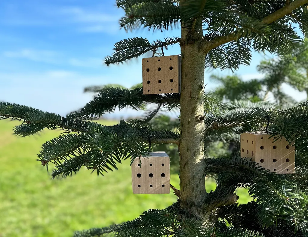Aide à la nidification pour abeilles de jardin, set 3 hôtels bois suspendus - 2