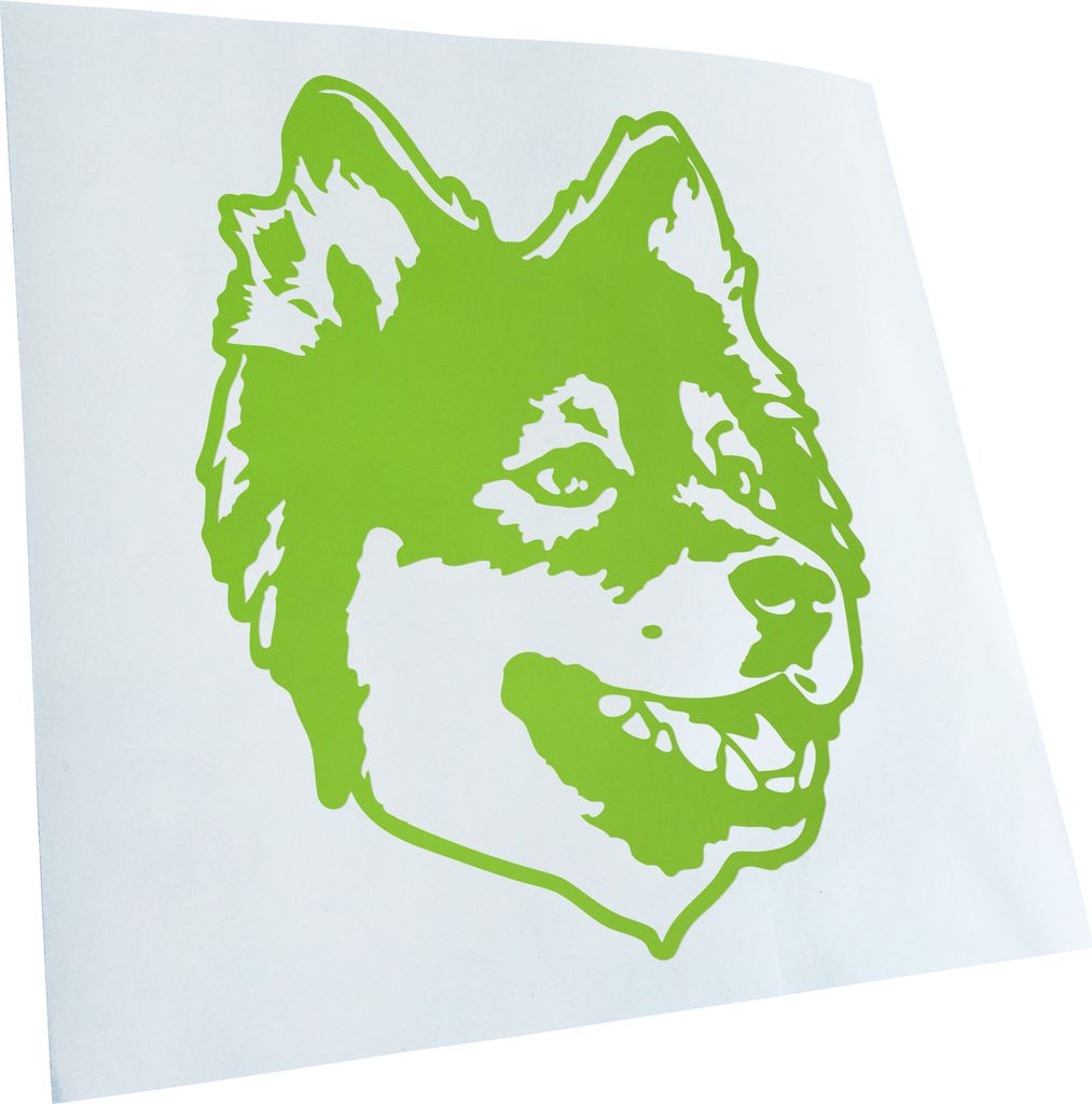 Kiwistar - Autoaufkleber - Finnish lapphund Hund - Lindgrün - 50x38cm - Aufkleber für Auto, Laptop, Fahrrad, LKW, Motorrad mehrfarbig JDM Decal R...