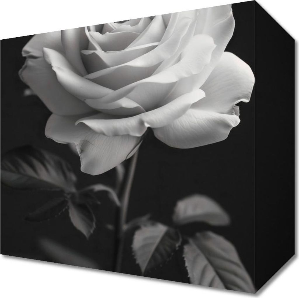 Bild 20x20cm Rosenblätter