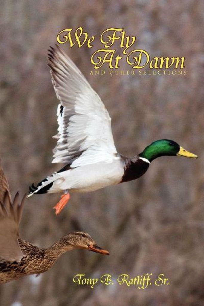 We Fly at Dawn