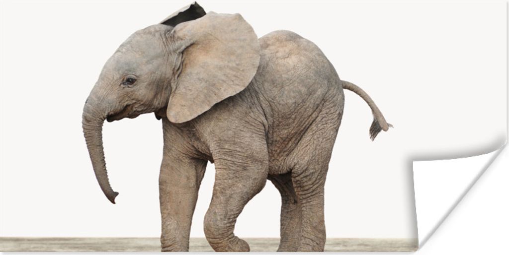 MuchoWow Poster Baby-Elefant - Tiere - Kinder - Mädchen - Jungen 40x20 cm - Poster für die Wand - Poster Schlafzimmer