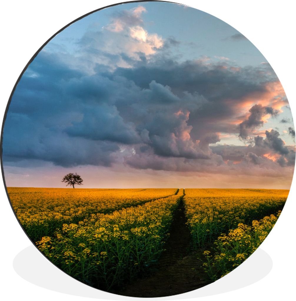 MuchoWow Aluminium Wandkreis Blumen - Gelb - Sonnenuntergang Ø 90 cm Wanddeko Modern Wohnzimmer - Mauerkreis - Wandbilder - Runde Bild - Bild au...