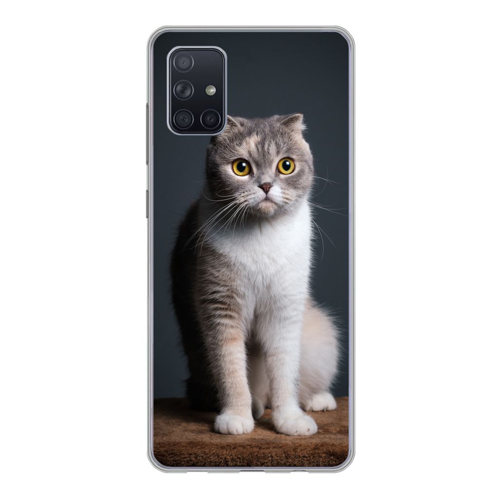 MuchoWow Handyhülle Schutzhülle Hülle für Samsung Galaxy A71 Katze - Haustiere - Licht Silikon Softcase Handy Hülle - Kartenbesitzer
