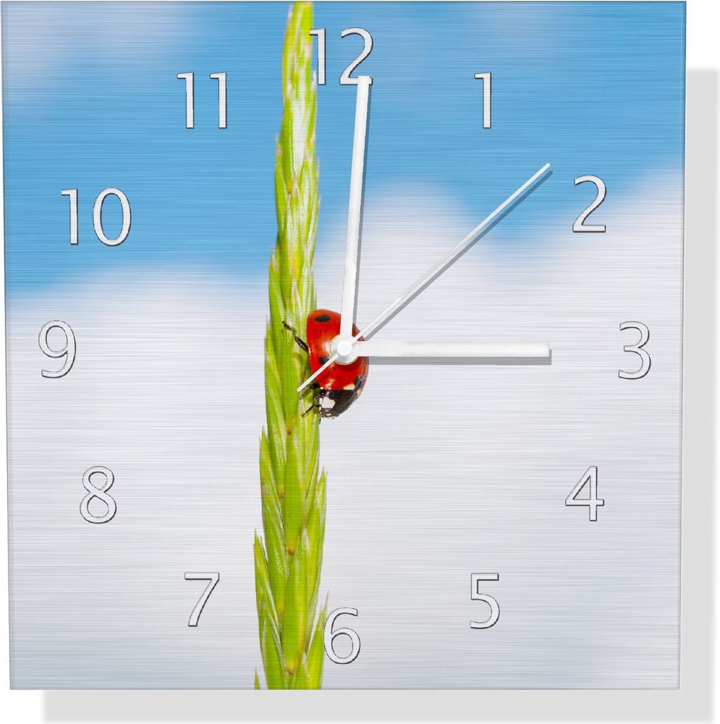 Wallario Design Wanduhr Marienkäfer am Korn aus Aluverbund, Größe 30 x 30 cm