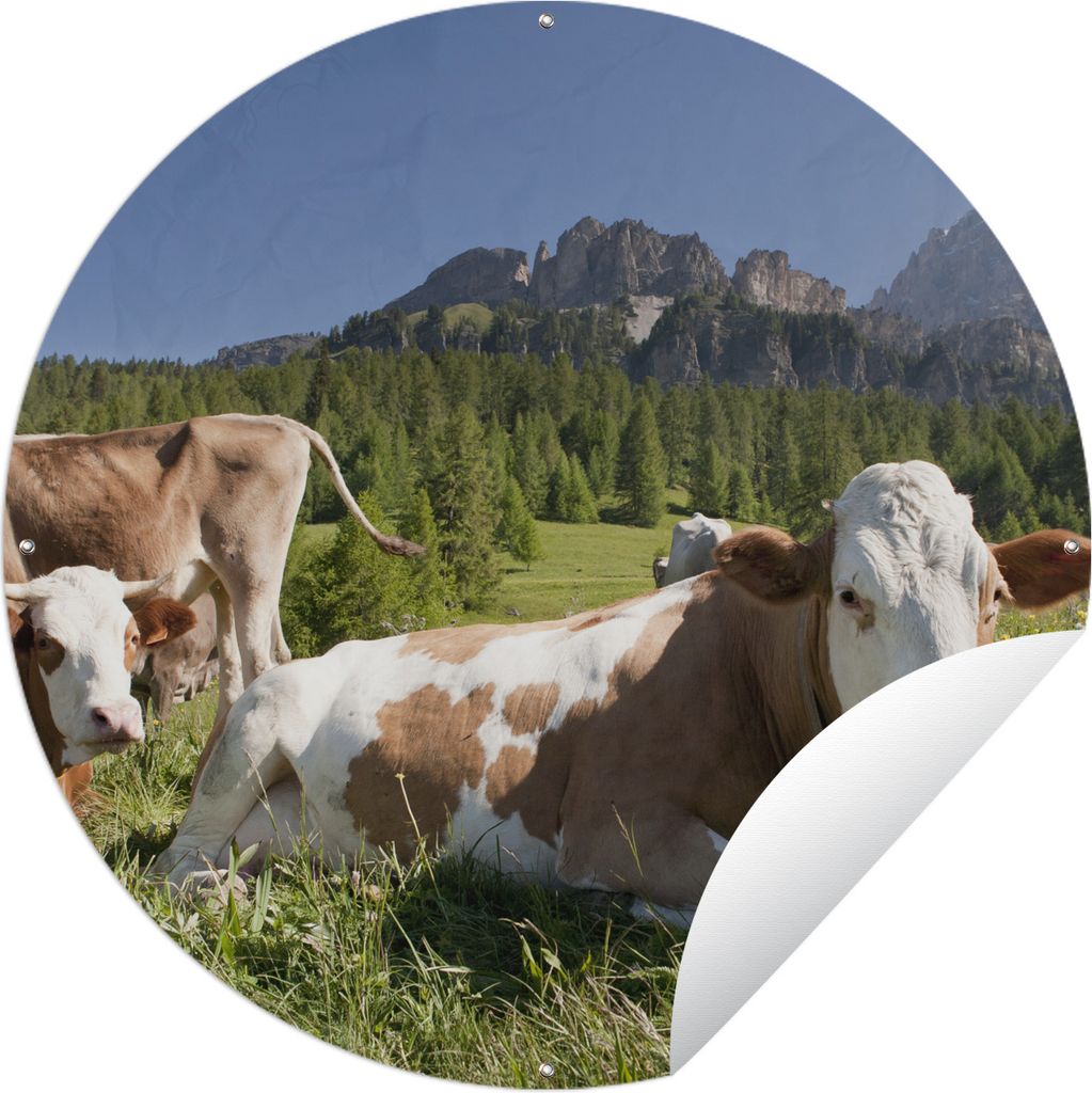 MuchoWow Gartenposter Outdoor-Poster Rund Kühe - Gras - Schweiz Ø 150 cm Gartendeko Rundes Poster draußen