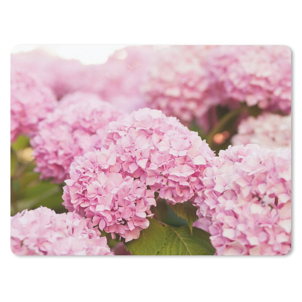 MuchoWow Mauspad Mousepad Busch - Blumen - Rosa - Hortensie 40x30 cm - Mousepads - Maus Mat - Pad - Mausunterlage - Anti Rutsch