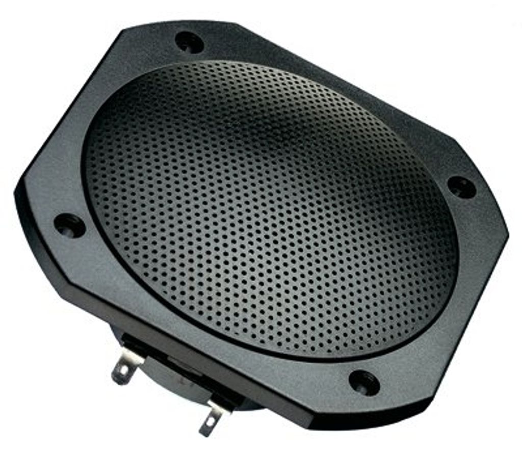 Visaton 2101 Lautsprecher FRS 10 WP 8 Ohm schwarz