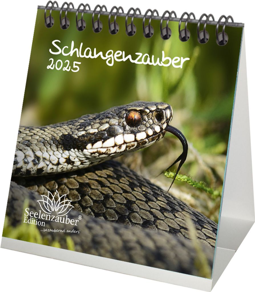Schlangenzauber Kalender für 2025 Format 10cm x 10cm - Seelenzauber