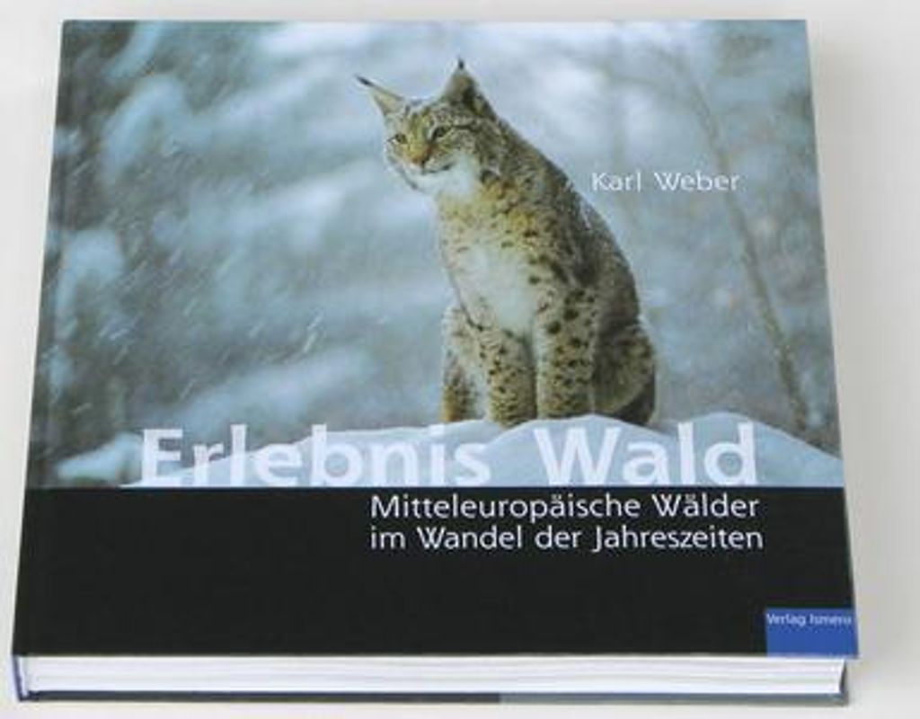Erlebnis Wald