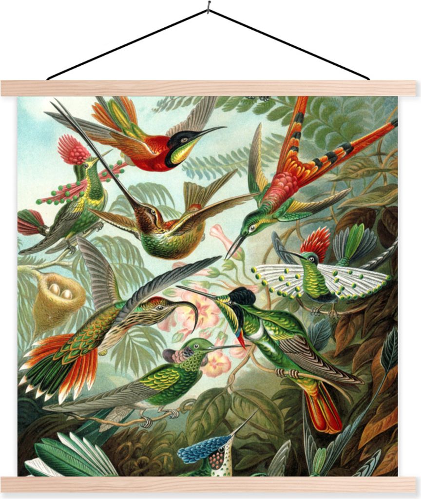 MuchoWow Textilposter Trochilidae - Ernst Haeckel - Vogel 120x120 cm mit holzfarbenen Rahmen - Textil-Poster
