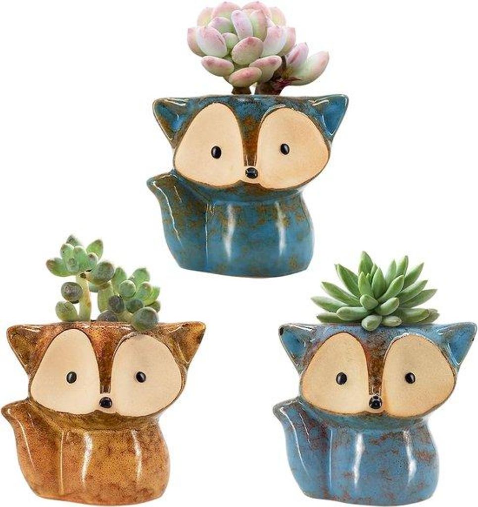 Keramische Blumentopf mit Durchlässigkeit für Sukkulenten 3er Set