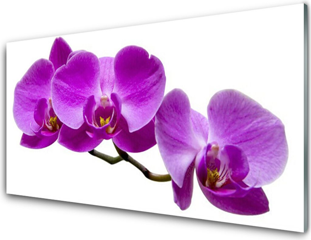 Acrylglasbilder 100x50 Wandbild Druck Blumen Pflanzen