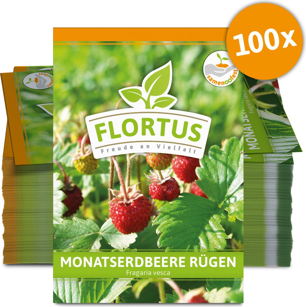 Monatserdbeere Rügen (100 Tütchen) | Erdbeersamen von FLORTUS