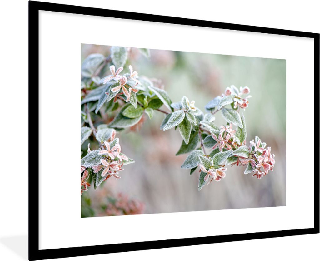 MuchoWow MuchoWow Gerahmtes Poster Pflanzen - Gefroren - Winter 90x60 cm - Poster mit zchwarzem Bilderrahmen - Wanddekoration - Fotos