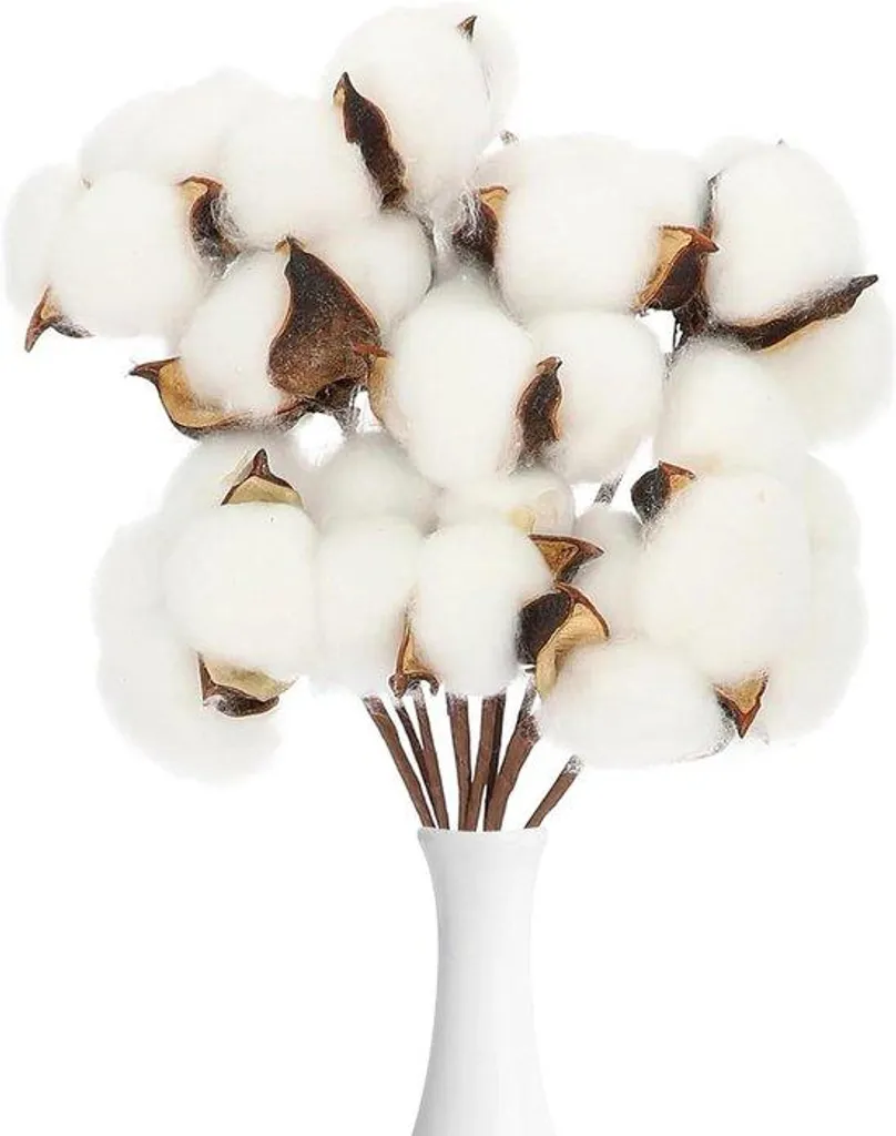 Plantes décoratives en coton - Lot de 10 fleurs séchées de couleur blanc