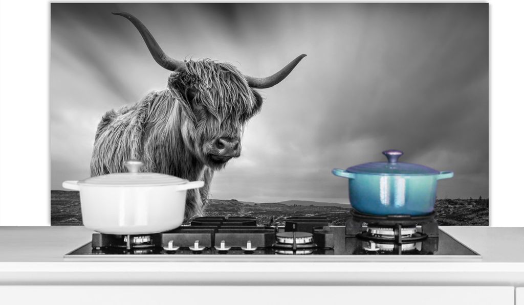 KitchenYeah Spritzschutz Küche - Küchenrückwand - Wandschutz für Herd und Spüle - Kühe - Schottische Hochlandkühe - Natur - Tiere - Schwa...
