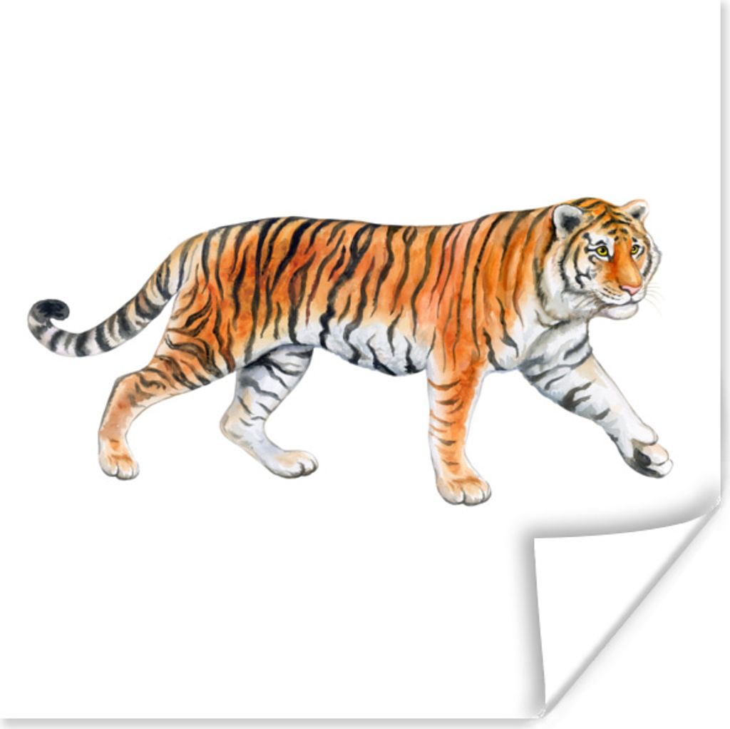 MuchoWow Poster Tiger - Orange - Schwarz 75x75 cm - Wand Dekoration