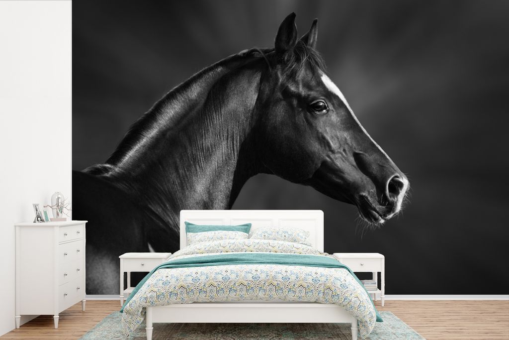 MuchoWow Fototapete für Wohnzimmer oder Schlafzimmer Wandtapete Vinyl Motivtapete Pferd - Tiere - Schwarz - Weiß - Porträt - 600x400 cm - Viny...