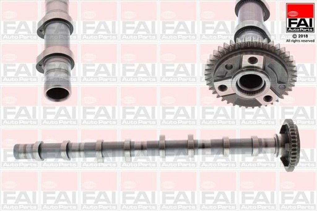 FAI AutoParts C392 Nockenwelle für BMW 3 Touring (E91) 3 Limousine (E90) 5 Touring (F11) 1 Schrägheck (E87) 5 Limousine (E60) 1 Schrägheck (F20)