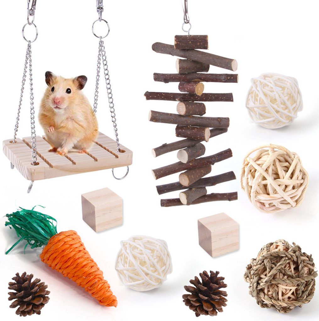 Hamsterspielzeug, das Hamstern, Rennmäusen und anderen Kleintieren zum Kauen und Spielen dient, regt sie zum Zähneknirschen an.