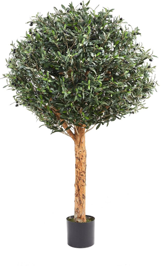 aplanta Künstlicher Olivenbaum – Eleutherios | 180 cm, Echtholzstamm, UV-beständig, für drinnen, Kunstbaum, wie echt, Allergiker geeignet, pfl...