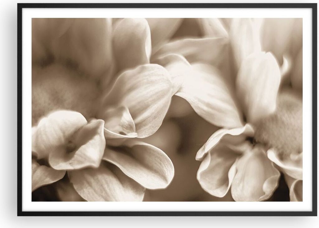 Gerahmtes Poster - Schwarzer Rahmen - Blumen Boho ohne - 100x70 cm - Wand Bild - Wanddeko - Wandbilder - Kunstposter - Wandposter - Bilderrahmen - ...