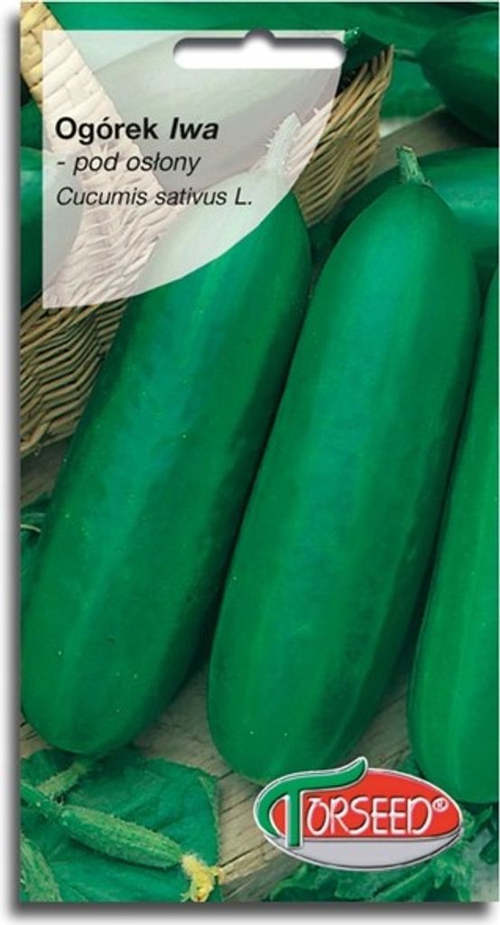 Iwa-Gurkensamen 1g - Torseed