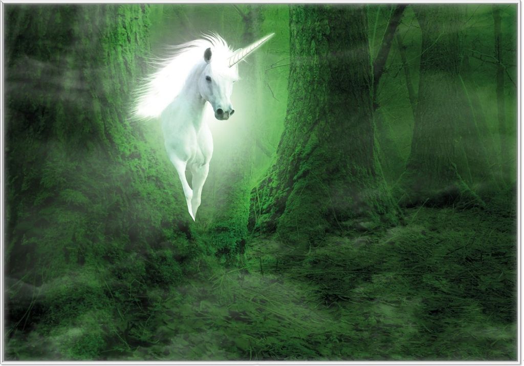 Wallario Wandbild Weißes Einhorn im grünen Wald, Größe: 70,30 x 100,30 cm, Poster mit weißem Kunststoffrahmen
