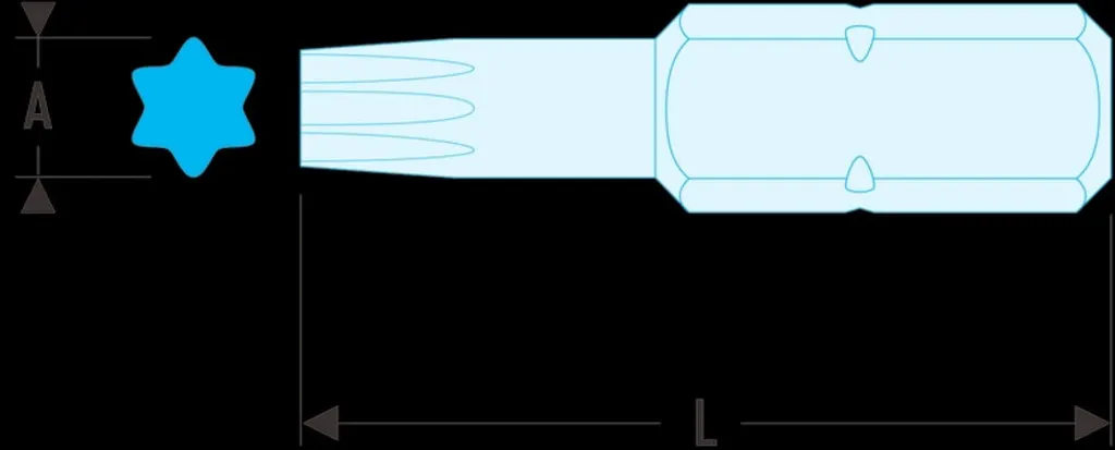 Facom Bit Serie 2 - Torx T40