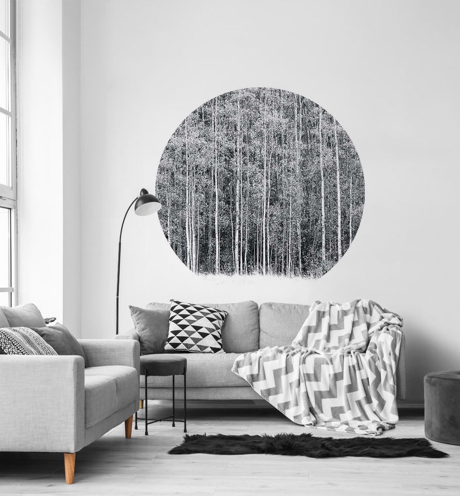 Fototapete Wald in Aspen schwarz weiß rund, Material:Premium Vlies 150g/qm, Größe Tapete:130cm rund