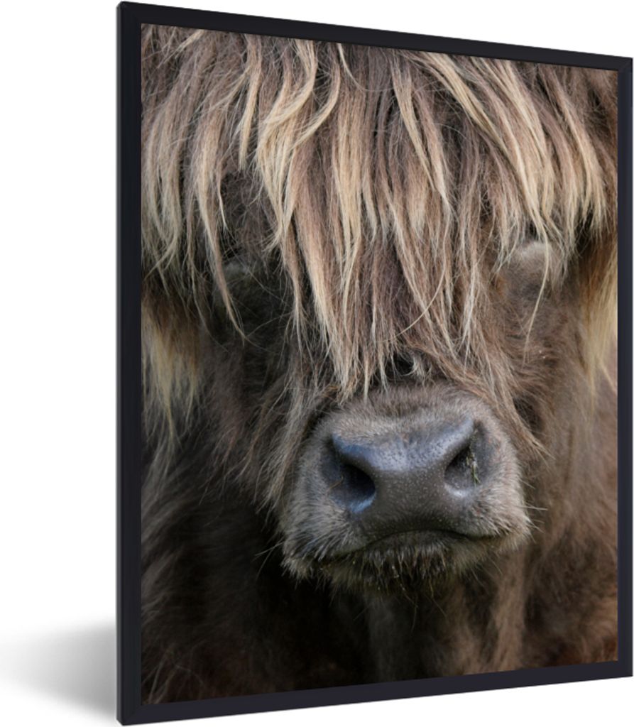 MuchoWow MuchoWow Gerahmtes Poster Schottisches Hochlandrind - Braun - Nase 30x40 cm - Poster mit zchwarzem Bilderrahmen - Wanddeko - Kunstdrucke