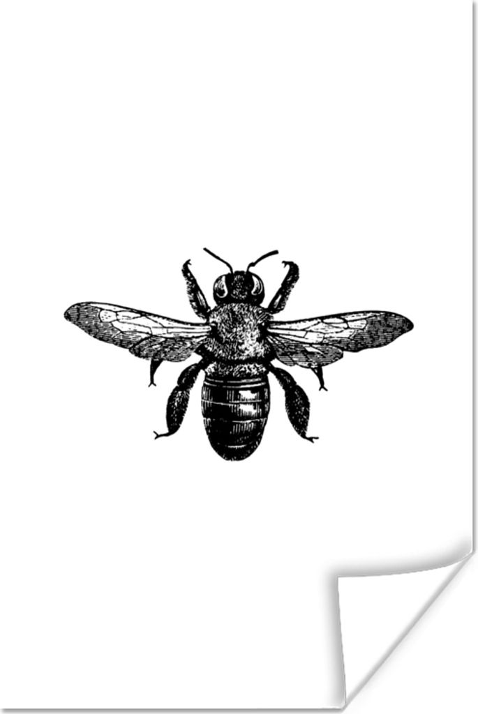MuchoWow Poster Biene - Insekt - Vintage - Schwarz und weiß 20x30 cm - Papierdruck
