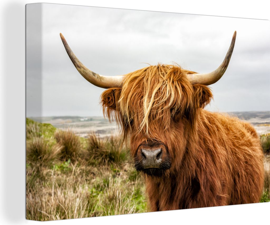 MuchoWow - Leinwandbilder - Schottischer Highlander - Kuh - Dünen, Wandbild, Wanddeko Bilder Wohnzimmer, 30x20 cm