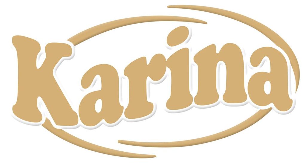 Karina Edel Alpensahne Schokolade Alpenmilchschokolade mit Produktbild 