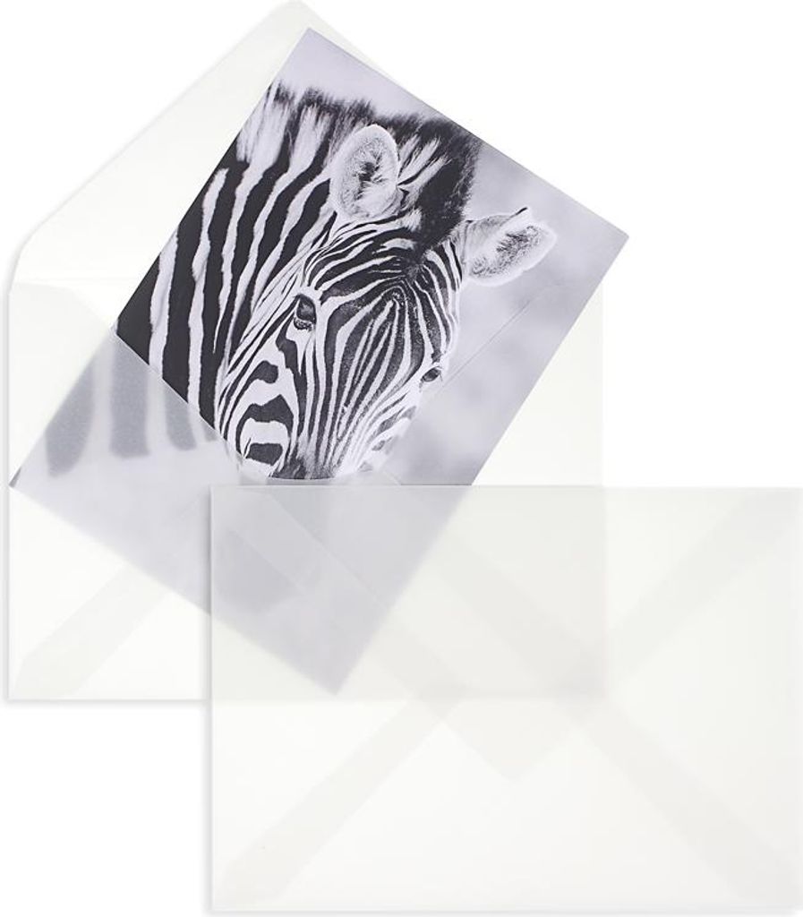 Transparente Briefumschläge - Weiß (Transparent-Weiß)162 x 229 mm (DIN C5) | 90 g/qm Offset | Ohne Fenster | Nassklebung | Spitze Klappe | 25 St...